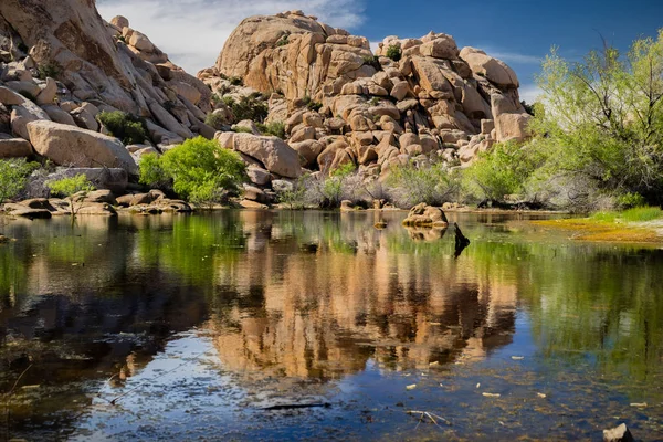 Joshua Tree Ulusal Parkı, Kaliforniya