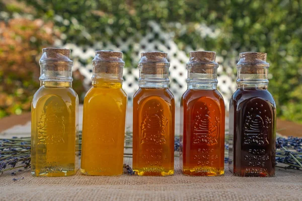 Honey in bottles in a garden, the range of color and flavors