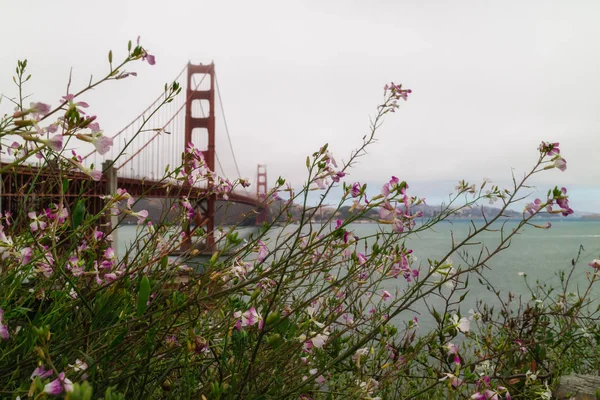 Goldene Torbrücke Und Schöne Wildblumen — Stockfoto