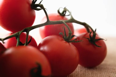 Taze kırmızı domatesler