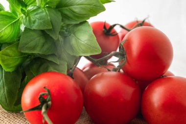 taze kırmızı domates ve fesleğen