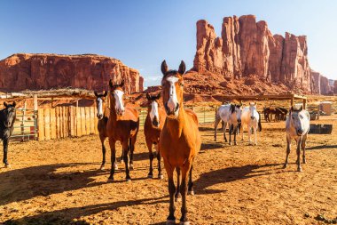 Tükenmez kalemle Monument Valley, fil Butte Rock güzel atlar 
