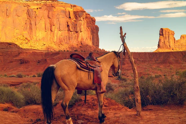 Día soleado en Monument Valley. Hermoso caballo y rocas rojas — Foto de Stock