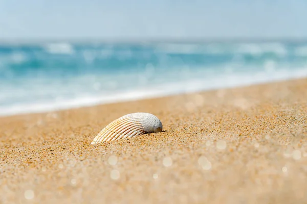 Idyllische Tropische Sandstrand Hintergrund — Stockfoto