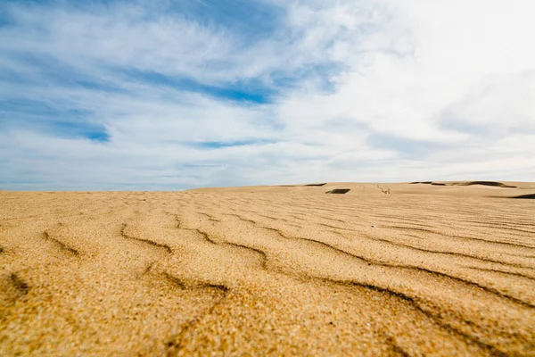 Zandduinen op het strand — Stockfoto