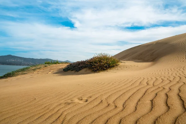 모래 언덕 온 더 비치 인 모로 베이, 캘리포니아 해안선 — 스톡 사진