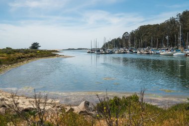 Marina Harbor, Morro Bay State Park, Los Osos, Kaliforniya Sahil Şeridi 