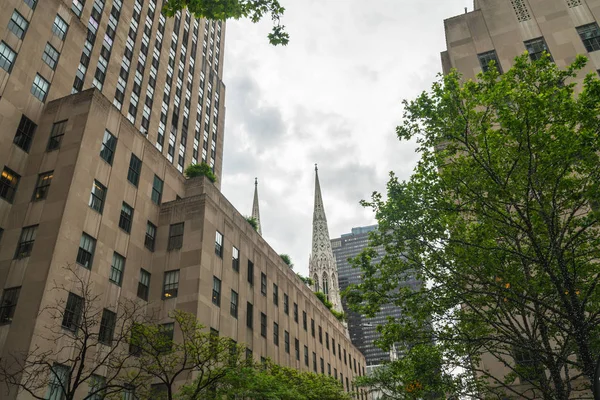 New York Cinquième Avenue Cathédrale Saint Patrick Gratte Ciel — Photo