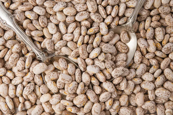 Pinto Beans Close Up Top view, Food Background, Dried Beans, Legume