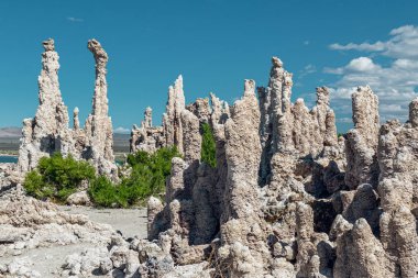 Mono Lake Tufa State Natural Reserve, Kaliforniya. Tufa Kuleleri, Kalsiyum-Karbonat Kuleleri ve Knobları