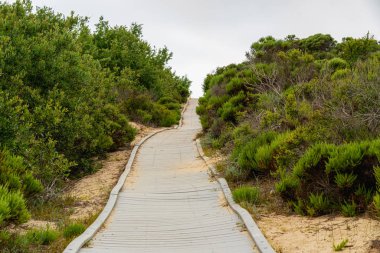 Oso Flaco Gölü ve Okyanus Arasında Kum Tepeleri ile Patika. Guadalupe-Nipomo Dunes Ulusal Yaban Hayatı Sığınağı, Califonia