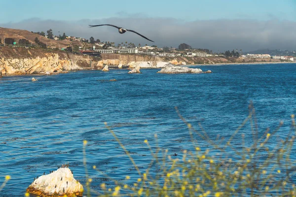 Penhascos Praia Pismo Litoral Califórnia — Fotografia de Stock
