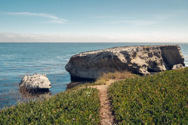 Βράχια Ειρηνικός Ωκεανός Περιοχή Shell Beach Της Παραλίας Pismo Καλιφόρνια — Φωτογραφία Αρχείου
