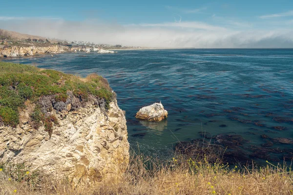 Kliffen Stille Oceaan Shell Beach Gebied Van Pismo Beach Californië — Stockfoto