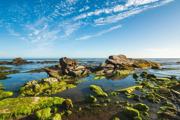 Tide Pool Sunset Eldwayen Ocean Park Pismo Beach Kalifornien — Stockfoto