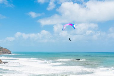Yamaç paraşütü. Muriwai Plajı Üzerinde Uçan, Auckland Area, Yeni Zelanda Kuzey Adası