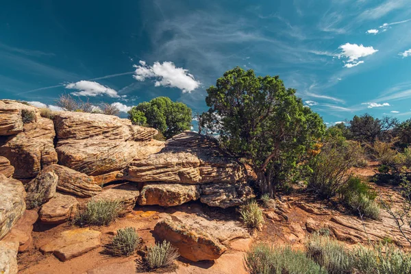 Каньйон де Шеллі національним пам'ятником, Арізона — стокове фото