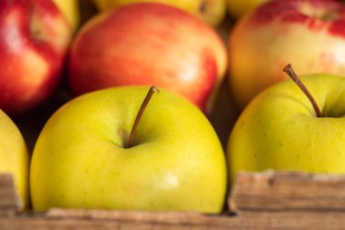 Elmalar. Sonbahar hasadı. Konteynırda taze organik kırmızı ve sarı elmalar, kapatın.