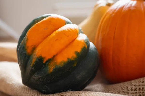 Rodzina Squasha Świeży Organiczny Żołędź Squash Dynia Squash Zbliżenie Stole — Zdjęcie stockowe