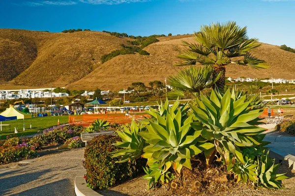 Dinoszaurusz Barlangpark Egy Családbarát Park Pismo Beach Shell Beach Területén — Stock Fotó