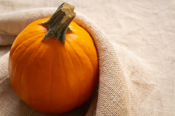 Calabaza Calabaza Fresca Orgánica Cerca Sobre Fondo Rústico Con Espacio —  Fotos de Stock