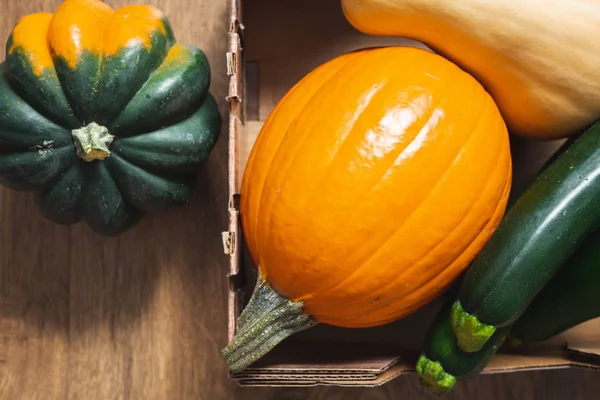 Pumpkin, acorn squash, butternut squash, and zucchini close up , wooden background, top view. Squash family, or cucurbits. Autumn harvest, organic vegetables, healthy lifestyle