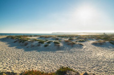 Kumsaldaki kum tepeleri