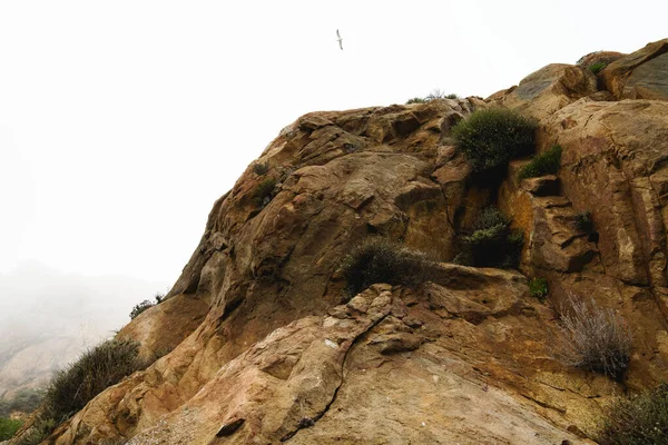 Moody Landscape Morro Rock Overcast Day California — Stock Photo, Image