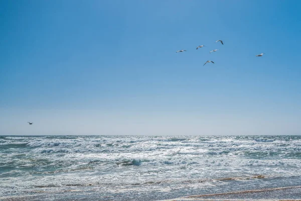Una Bandada Aves Volando Sobre Océano Pacífico Olas Mar Color —  Fotos de Stock
