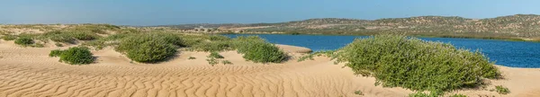Песчаный Пляж Зеленые Холмы Голубая Река Цветущие Дикие Цветы Гуадалупе — стоковое фото