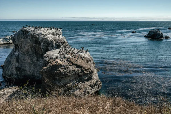 Klippen Strand Von Pismo Und Vogelschwärme Horizont Über Dem Ozean — Stockfoto