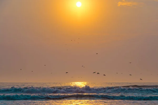 Sonnenuntergang Über Dem Meer Und Fliegende Vögel Schöne Malerische Meereslandschaft — Stockfoto