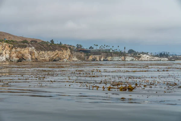 Shell Beach Califórnia Vista Oceano Falésias Floresta Algas Céu Nublado — Fotografia de Stock