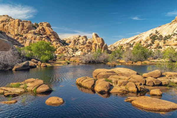 Joshua Tree Ulusal Parkı, Kaliforniya. Barker Barajının üzerindeki kayaların ve su deposunun harikalar diyarı.