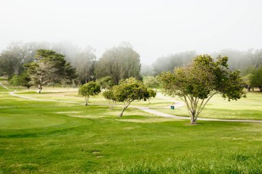 Sisli sabahta güzel yeşil golf sahası