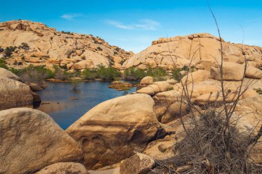 Çölde su. Joshua Tree Ulusal Parkı, Kaliforniya 'daki Barker Barajı' nın üstündeki rezervuar.