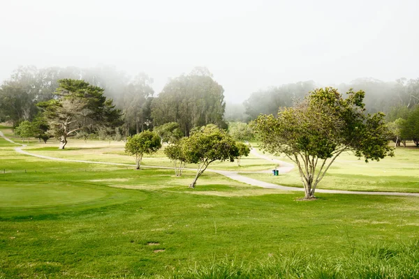 Beautiful Green Golf Course Foggy Morning — Stock Photo, Image