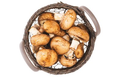 Sepetteki taze mantarlar beyaz arkaplanda izole bir şekilde kapanıyor.