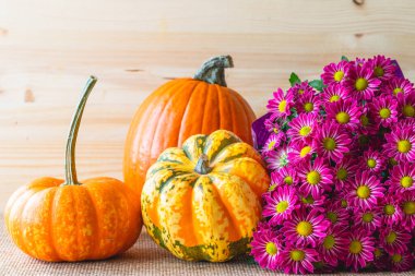 Balkabağı, kabak ve güzel mor kasımpatılarla süsleme. Durgun hayat, kopyalama alanı olan ahşap arkaplan