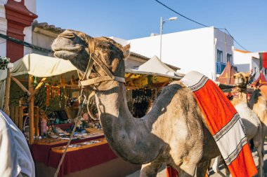 Kırmızı battaniyeyle süslenmiş deve ortaçağ fuarı mücevher tezgahının yanında duruyor..