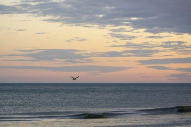 A seagull hovers low over gentle waves during a pastel-colored sunset.