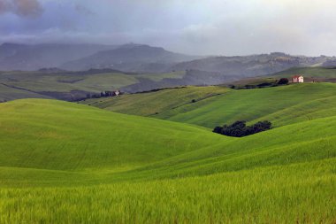 Toskana, İtalya, Avrupa'nın yaz manzara