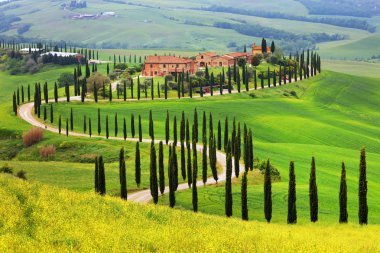 Summer landscape in Tuscany, Italy, Europe clipart
