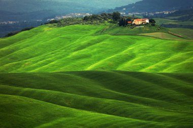 Toskana, İtalya, Avrupa'nın yaz manzara