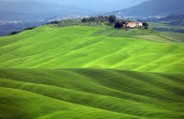 Toskana, İtalya, Avrupa'nın yaz manzara