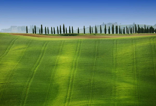 Paisaje Verano Toscana Italia Europa — Foto de Stock