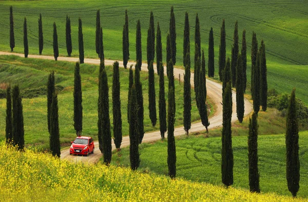 Summer Landscape Tuscany Italy Europe — Stock Photo, Image