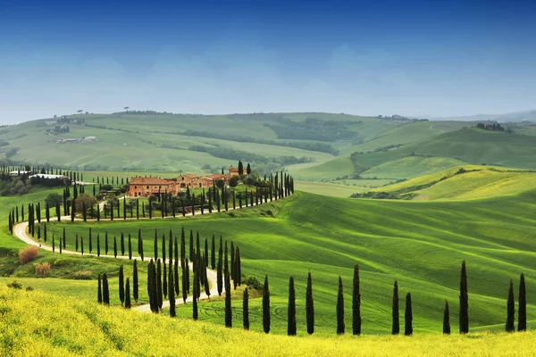 Zomer Landschap Toscane Italië Europa — Stockfoto