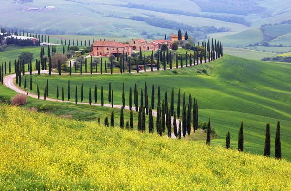 Zomer Landschap Toscane Italië Europa — Stockfoto