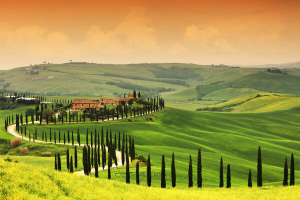 Summer landscape in Tuscany, Italy, Europe